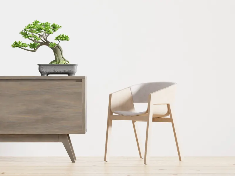 Ahşap dolabın üzerinde bonsai ve yanında sade bir sandalye